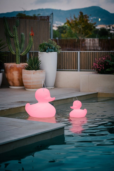 Small and XL Pink Duck-Duck Lamps
