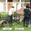 Chenil d'extérieur pour chien avec bols rotatifs et réglables en hauteur