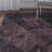 Elijah Performance Floral Rug-16766450