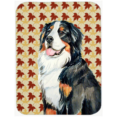 East Urban Home Bernese Mountain Dog Portrait Glass Cutting Board