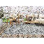 Hisaya Area Rug-141190468