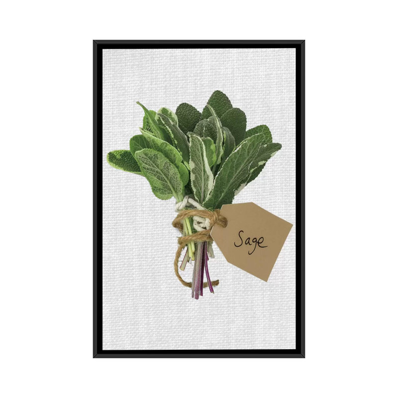 «Sage», reproduction d'impression sur toile, H 26 po x l 18 po x P 1,5 po, Toile avec cadre noir, Pas de tapis