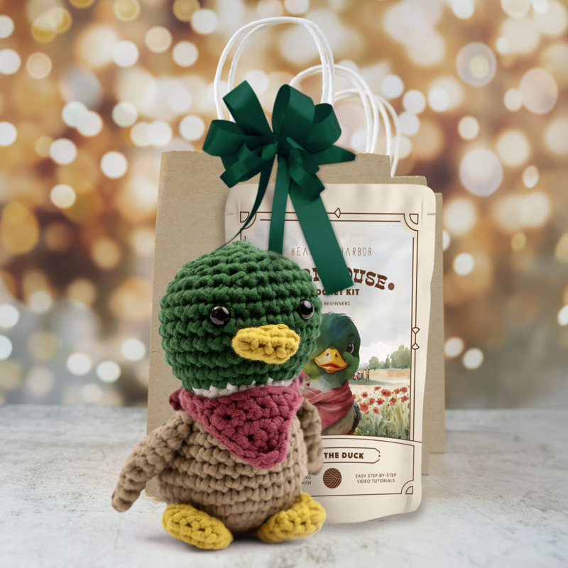 Ensemble de crochet Amigurumi pour débutants