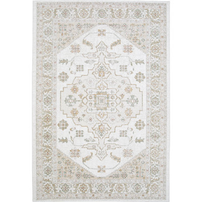 Vintage Look Recycled P.E.T Area Rug