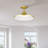 Catinca Flush Mount-213417007-213417004