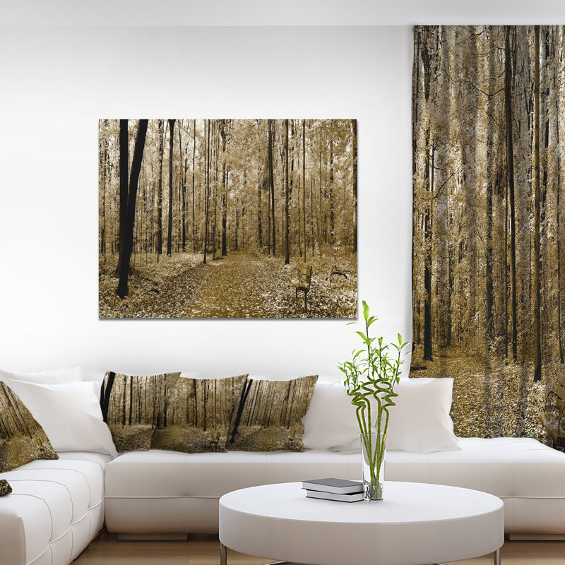 Vue panoramique de la forêt boisée - reproduction de photo sur toile, H 30 po x l 40 po x P 1 po