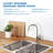 APEC WATER Kitchen Faucet Side Spray-45058258