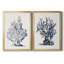 Blue Antique Coral I - ensemble de 2 reproductions d'art sur toile encadrées-141662323-141662327