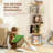 Rotating Bookshelf, 360 Degree Revolving Bookcase, 4-Tier Spinning Bookshelf, Clear Acrylic & Solid Wood Rotating Bookcase For Kid’s Playroom, Bedroom And Living Room, Square