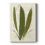 «Garden Ferns VI», impression sur toile tendue-669595548