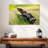 Brampt Exotic Dart Frog-108708422