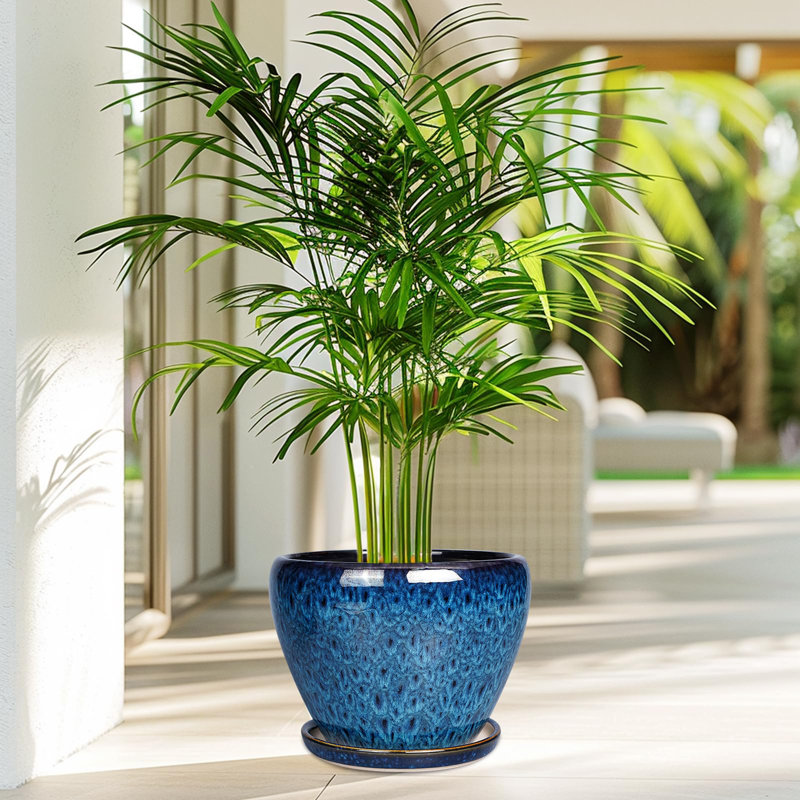 Ceramic Modern Glaze Succulent Planter Pot, 5.8" H x 8" W x 8" D