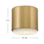 Hinkley Cedric Flush Mount Flat-1354030739