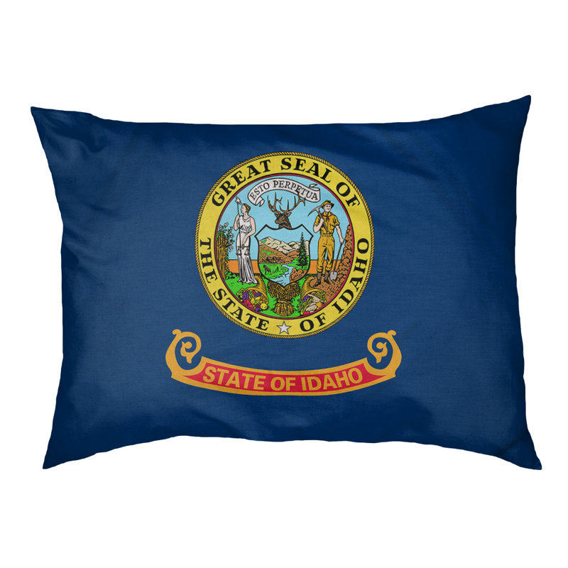 Coussin stylisé idaho flag Burien, L 19,5 po x l 29,5 po, Marron foncé