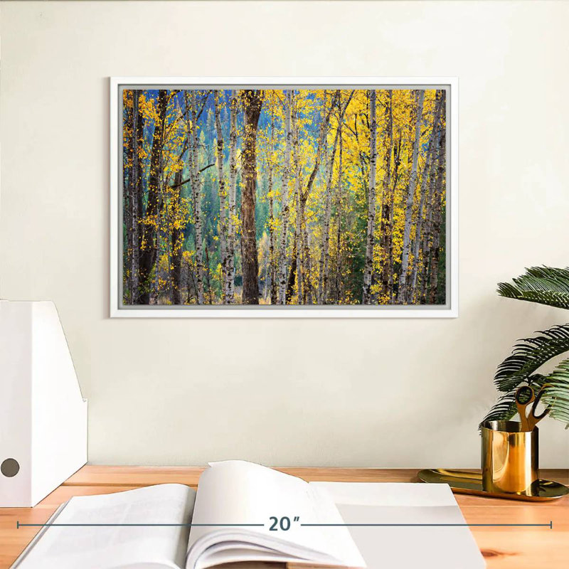 Kootenay Fall II, Cadre flottant blanc, 13 po x 9 po