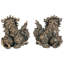 Ensemble de figurine 2 pièces shishi foo chiens chinois lion