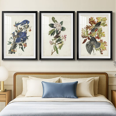 Pl 102 Blue Jay  -Custom Framed  Premium Print W Matt - 3 Pieces