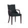 Elianys 18.5'' H Upholstered Beech Armchair