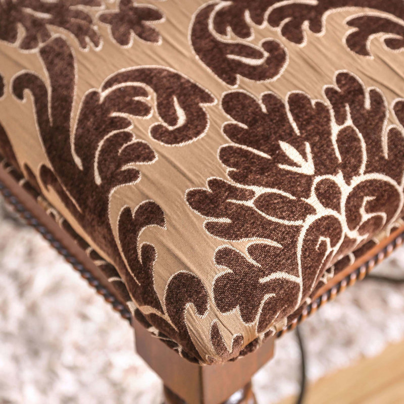 Ensemble de chaises d'appoint 2 pièces Traditional