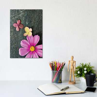 Pink Cosmos 1 Piece Wrapped Canvas Wall Art