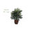 Artificial Palm Plant in Planter