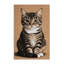  Tapis lavable chats domestiques à poils courts-936527420