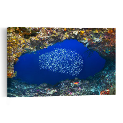School Of Fish Grotto Colorful Vibrant Contemporary Fish Nature Ocean Wall Art Print 1 Piece Wrapped Canvas Wall Art