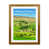 Brown Framed