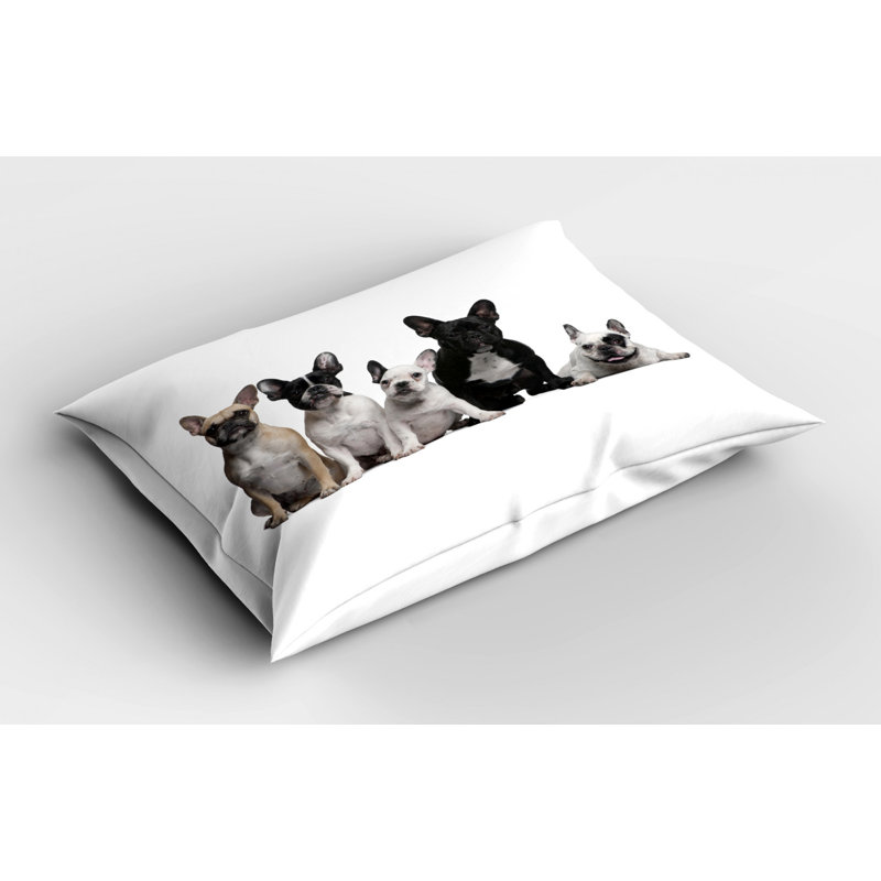 Pillow Sham, Twin