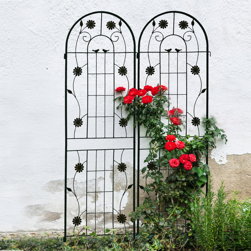 Paquet de 2 treillis de jardin en métal 71 po x 19,7 po antirouille pour plantes grimpantes, Noir