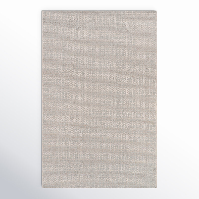 Lucius Indoor / Outdoor Rug, Rectangle 3'11" x 5'7"