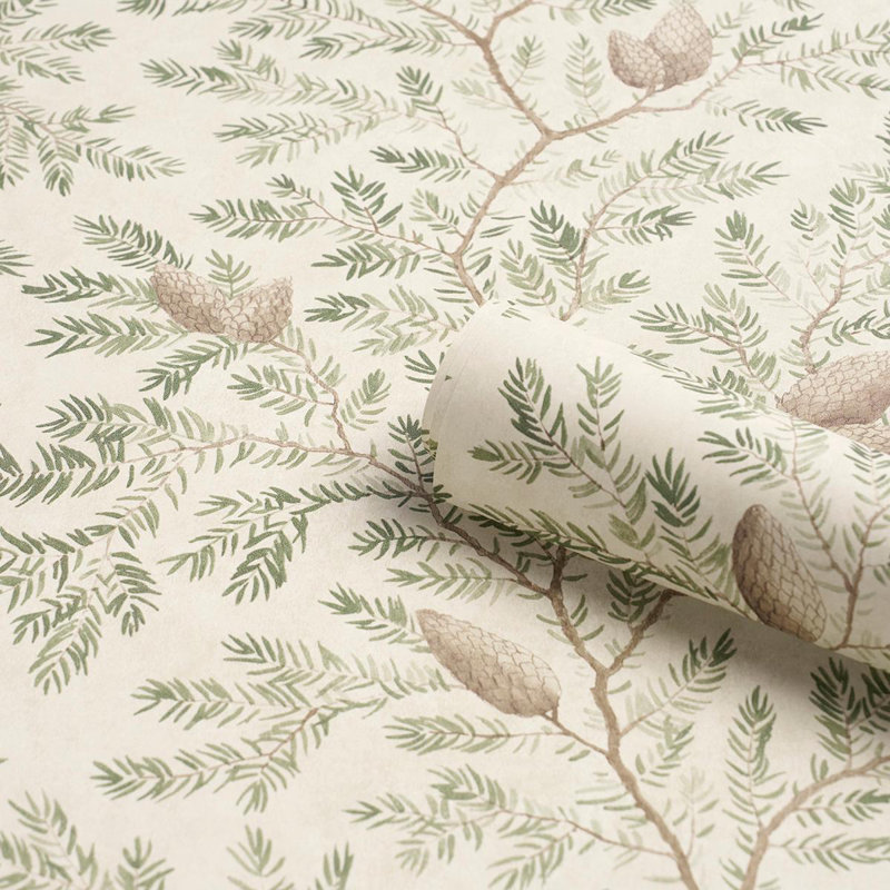 Papier peint Pinewood, Épicéa