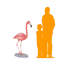 Statue debout de flamant debout