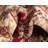 Zayandeh Oriental Area Rug in Rust-69593088