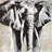 elephant - 32"x32" art on canvas