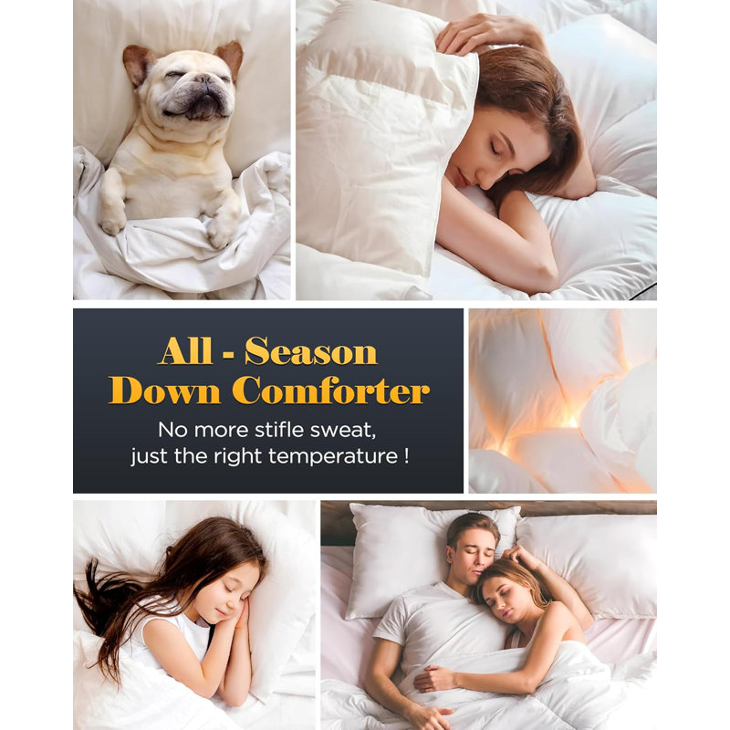  Luxurious Fluffy Soft Feather Down Comforter Warm Breathable Duvet Insert for All Season, Queen