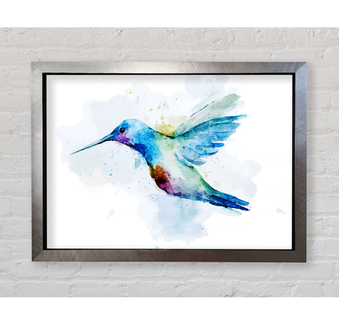 Hummingbird Splash Gerahmter Druck