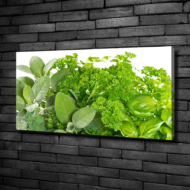 Herbs - No Frame Print on Glass, Canvas, 50cm H x 100cm W x 2cm D