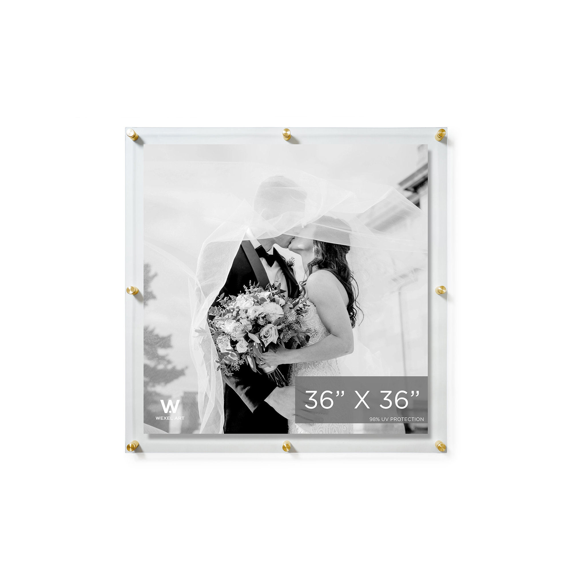 Double Panel Acrylic Picture Frame, Gold, 40" H x 40" W