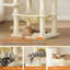 Penacook 143cm H Cat Tree