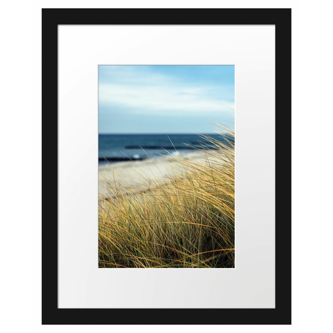 Gerahmtes Poster Sanddünen mit Schilfgras am Meer