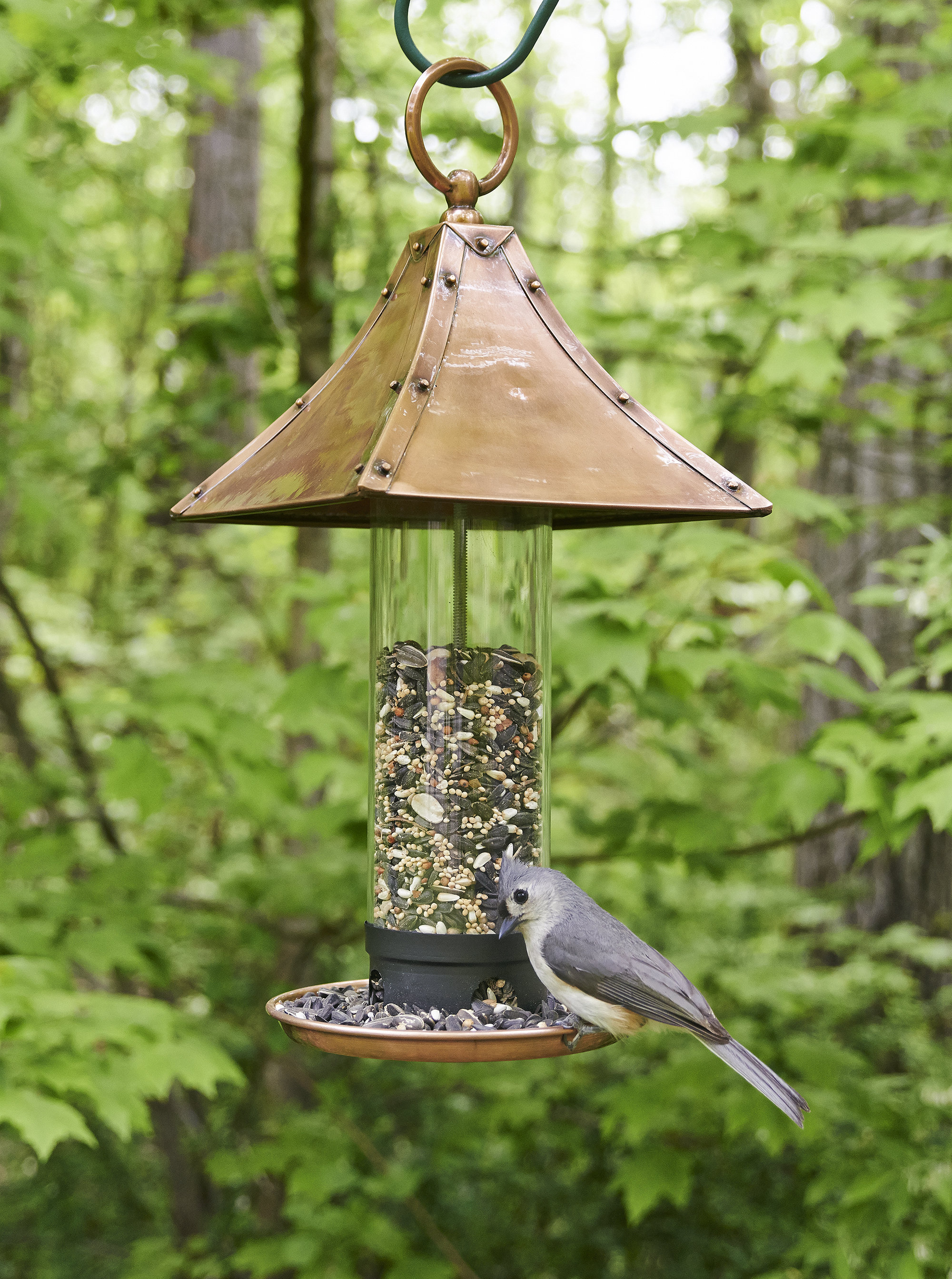 Red Barrel Studio® Barlatier Palazzo Tube Bird Feeder & Reviews | Wayfair