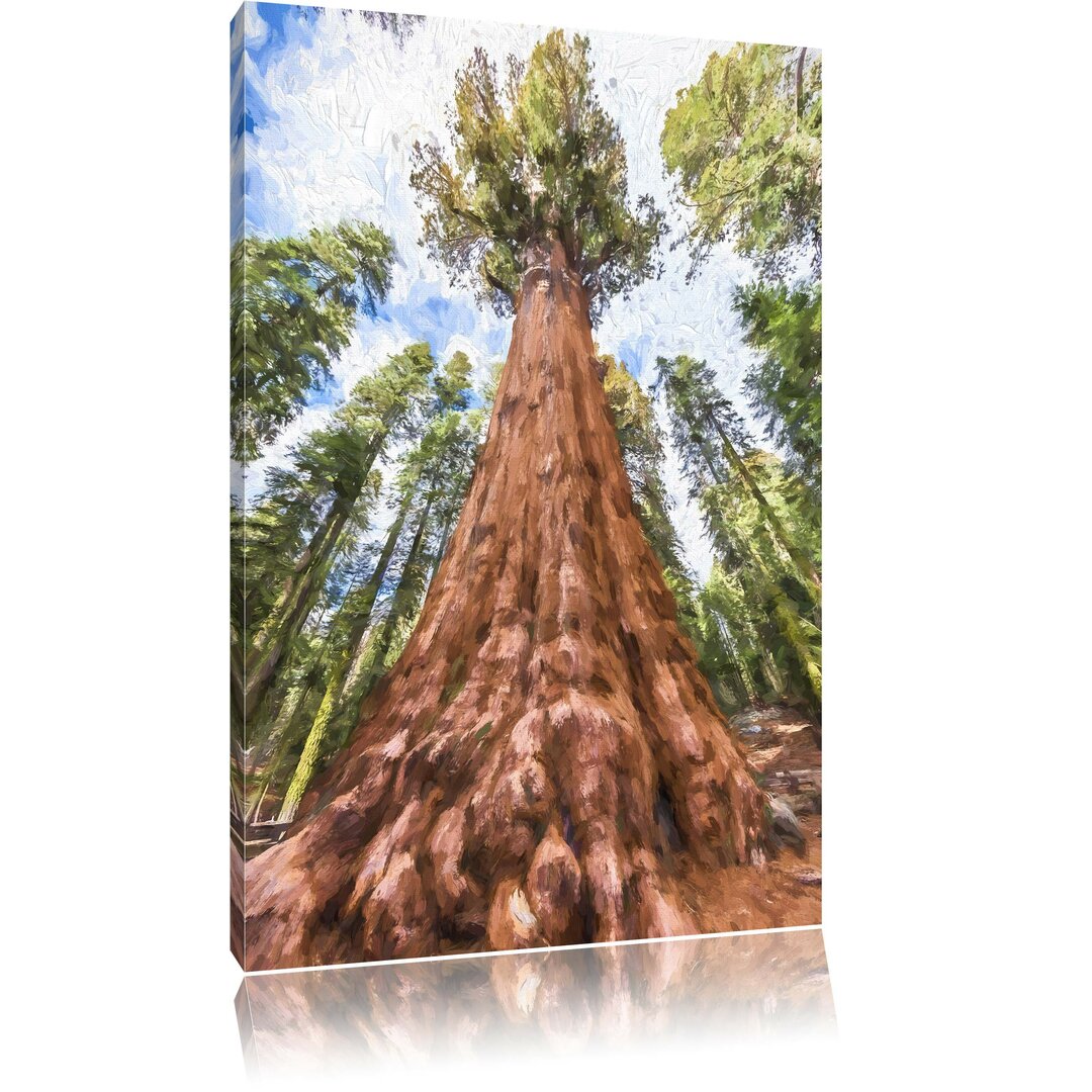 Fotodruck Sequoia im Regenwald