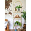 Scottsville Clock-38164013