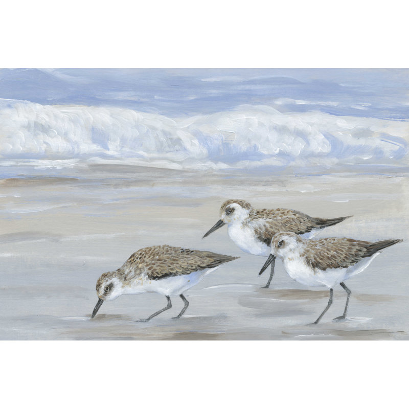 Sandpipers II, H 24 po x l 36 po