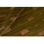 Wool Ikat Area Rug in Brown