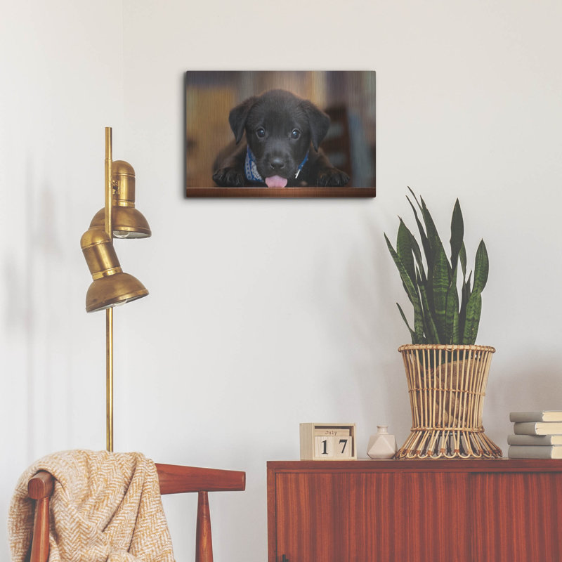 "Black Lab Pup 14" par Jonathan Ross, H 16 po x l 24 po