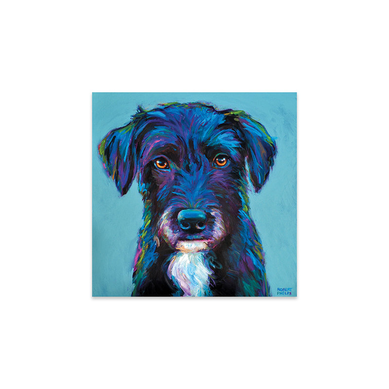" Winston The Black Schnauzer "