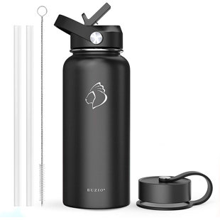 https://assets.wfcdn.com/im/73581869/resize-h310-w310%5Ecompr-r85/2083/208306850/buzio-insulated-stainless-steel-water-bottle.jpg