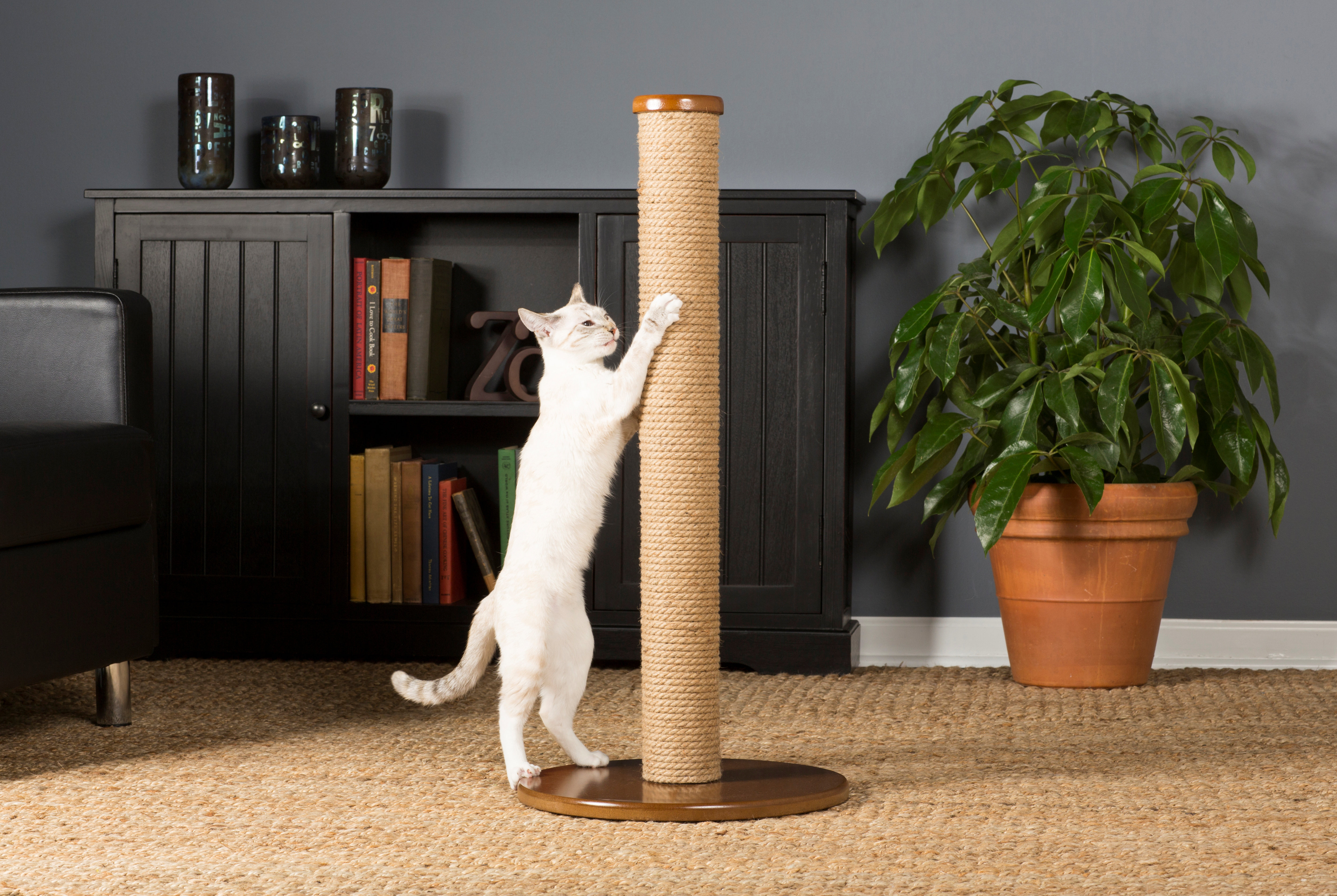 Tucker Murphy Pet™ Borrego Scratching Post Reviews Wayfair Canada